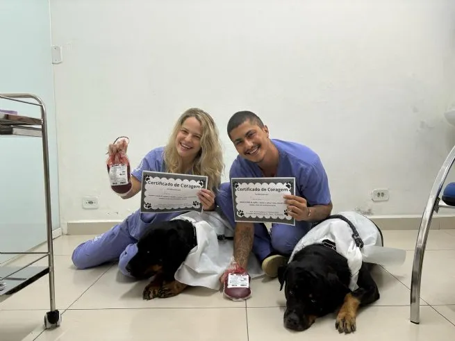 Campanha “Sangue Bom Pra Cachorro” começa em maio no PATA em São Sebastião