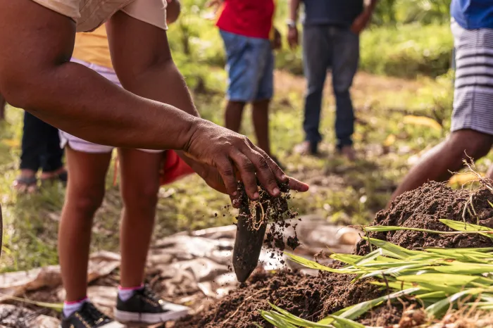 Maranhão é o segundo estado que mais recupera áreas degradadas no país