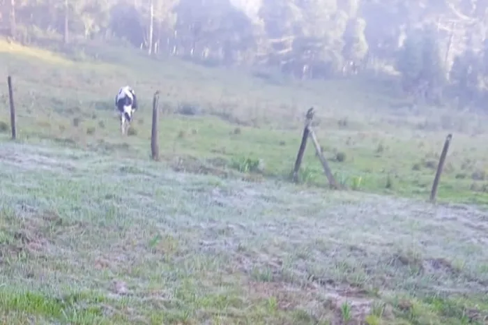 Foto: Arquivo Pessoal