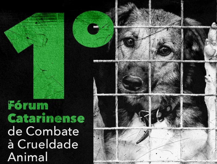 Fórum Catarinense de Prevenção da Crueldade Animal está com inscrições esgotadas
