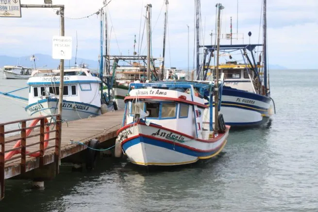 Pescadores artesanais de São Sebastião retomam suas atividades a pesca do camarão