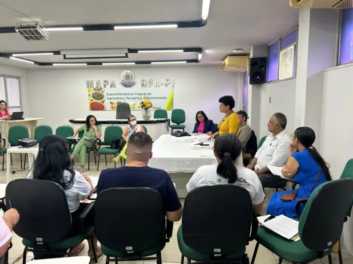 SAF participa de discussão sobre plano de ação em apoio às quebradeiras de coco babaçu