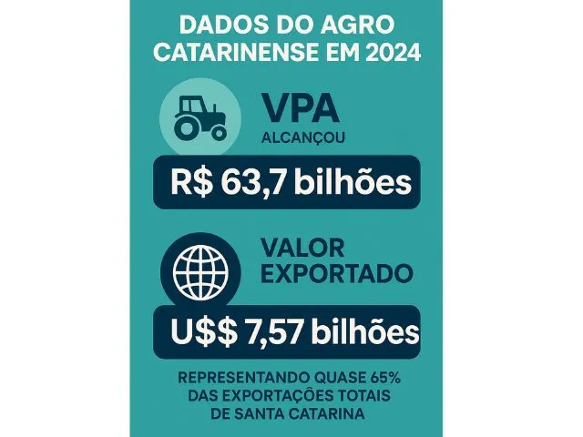 Foto: Reprodução/Secom SC