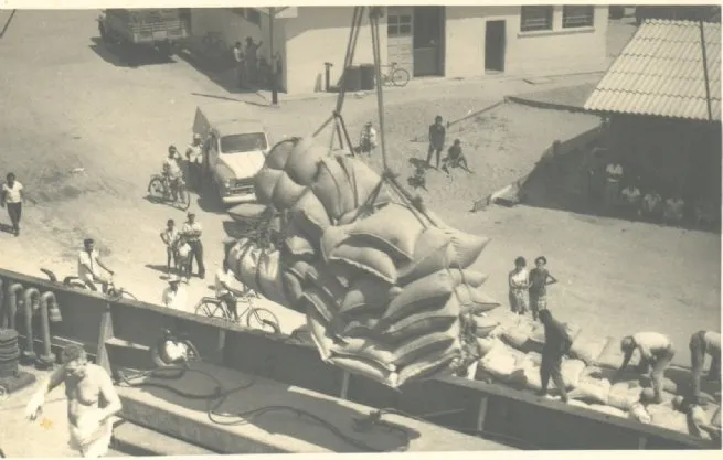 Coluna ‘São Sebastião: Vozes da História’: Fundass resgata memória do primeiro embarque de café no Porto de São Sebastião