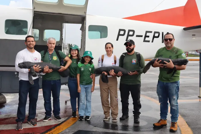 Foto: Vinicius Silva/ Ascom Senas