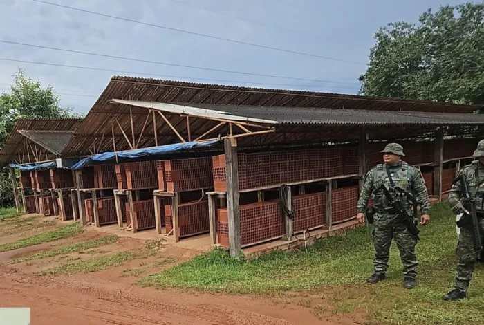 Foto: Reprodução/Agência Amazonas