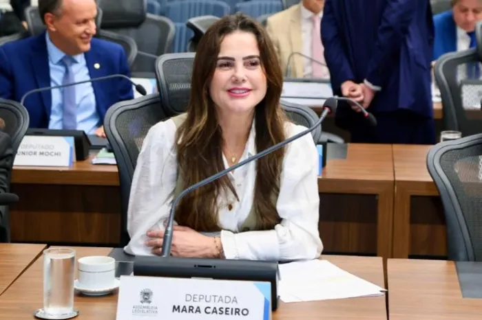 Mara Caseiro propõe instalação de sistema de iluminação via rádio em aeroportos de MS