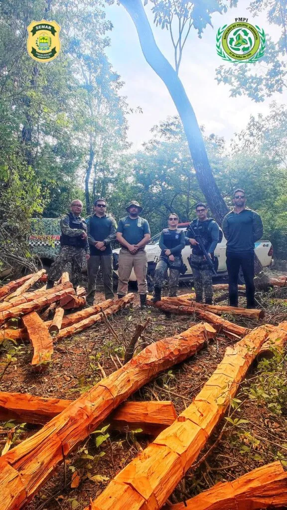 Semarh realiza Operação Carcará 01 e aplica multa de R$ 550 mil em crimes de desmatamento ilegal no Piauí