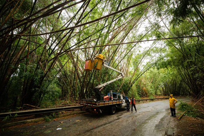 Prefeitura de Lauro de Freitas atua de forma integrada para minimizar os impactos das fortes chuvas