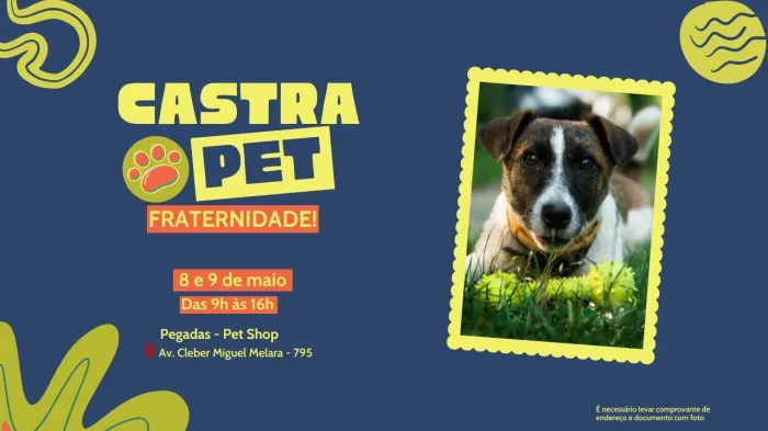 Castrapet esteriliza cães e gatos no Fraternidade