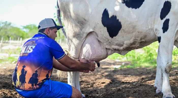 Alisson da Costa, mais conhecido como Courinho, atualmente tem sete vacas leiteiras | Foto: Erick O'Hara