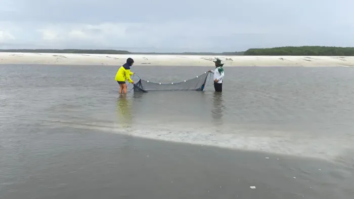 Foto: DGBio/IDEFLOR-Bio