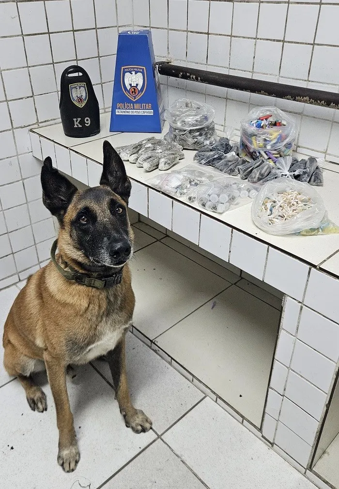 Ações do 6º Batalhão resultam em apreensão de arma e drogas na Serra