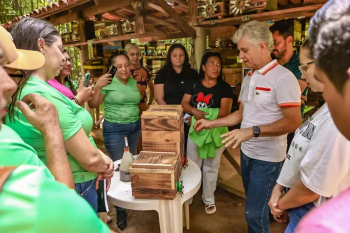 Agricultoras de Jacobina do Piauí participam de intercâmbio promovido pela SAF para iniciar produção de mel de abelhas sem ferrão