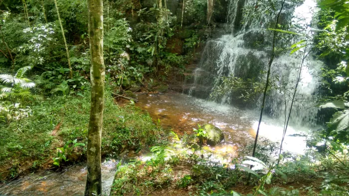 Helvécio Rodrigues Pereira Filho