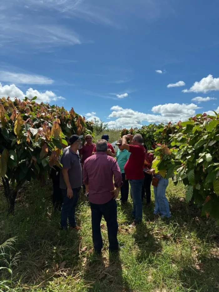 Foto: Reprodução/Secom Piauí