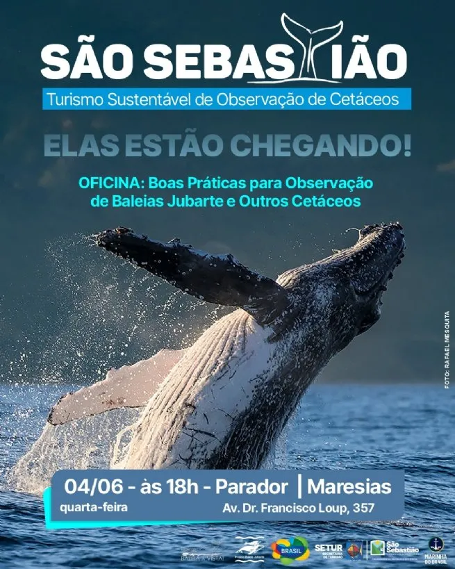 Prefeitura de São Sebastião promove oficina gratuita sobre boas práticas para observação de baleias jubarte