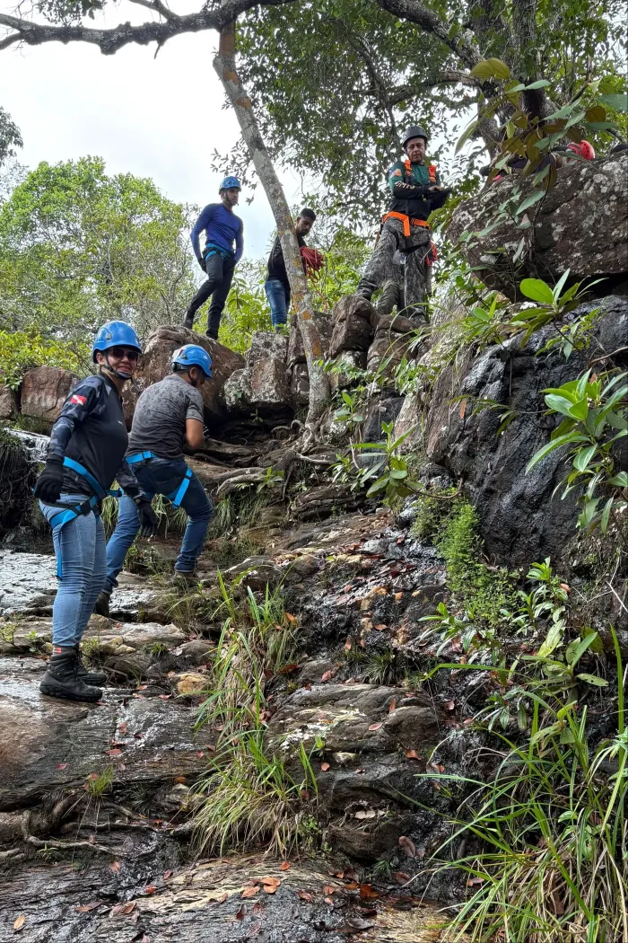 Foto: GRA/IDEFLOR-Bio
