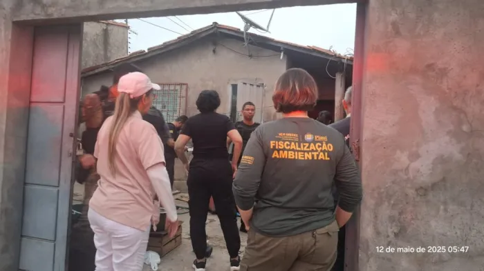 Semarh participa da Operação Falso Vet contra castrações clandestinas em Teresina