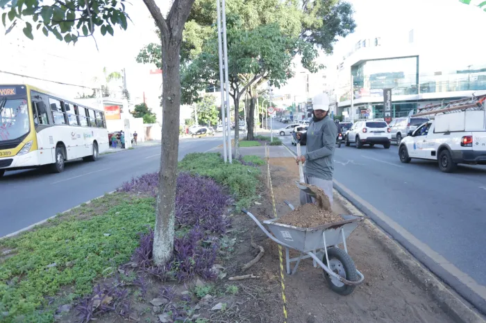 Foto: Reprodução/Prefeitura de Caruaru - PE