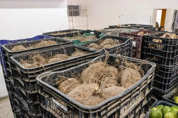Prefeitura de João Pessoa divulga lista dos agricultores familiares selecionados para o Banco de Alimentos