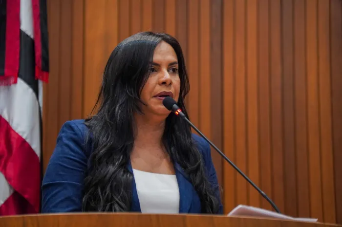 Deputada Ana do Gás falou sobre o programa 'Maranhão Livre da Fome'