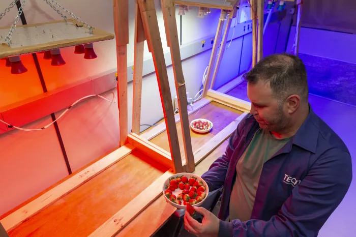 Foto: Hedeson Alves/TECPAR