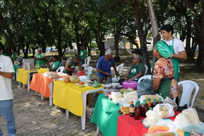 Foto: Reprodução/Secom Piauí