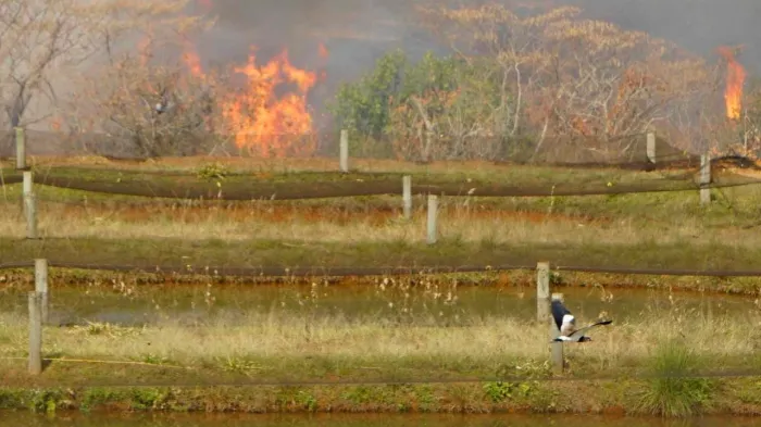 Brigadistas recebem treinamento para combate a incêndios