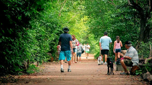 Parque Estadual do Cocó é o mais visitado do Brasil