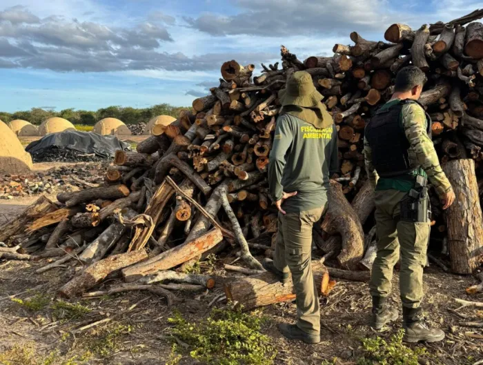 Fiscalização da Semarh identifica irregularidades em carvoarias e áreas de manejo no sul do Piauí
