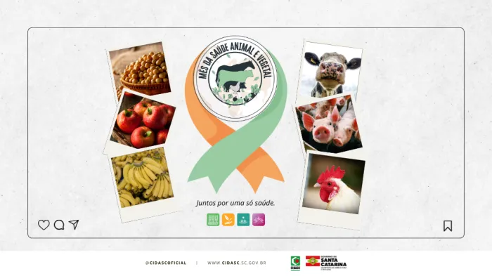 Foto: Reprodução/Secom SC