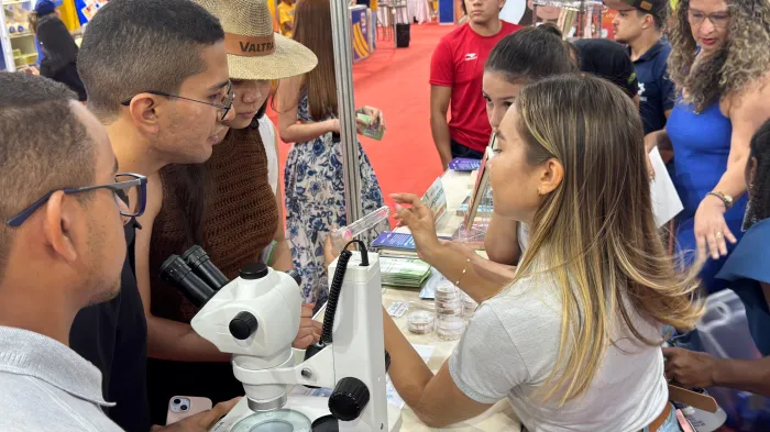 Milho Bt é aliado no combate sustentável à lagarta-do-cartucho, mostra pesquisa apoiada pela Fapema