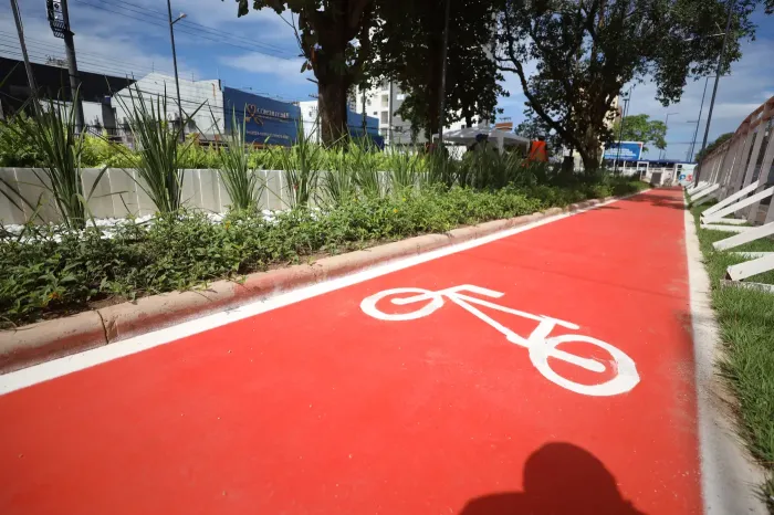 Foto: Rodrigo Pinheiro / Ag.Pará
