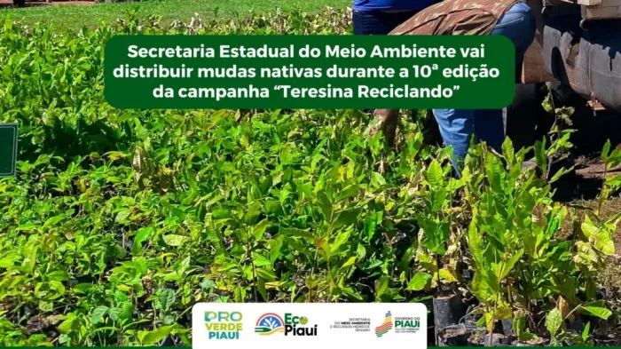 Semarh distribuirá mudas na 10ª edição da campanha Teresina Reciclando