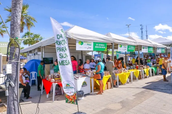 Agricultores do Território dos Carnaubais comemoram sucesso de vendas na Quitanda durante o Diálogos pelo Piauí