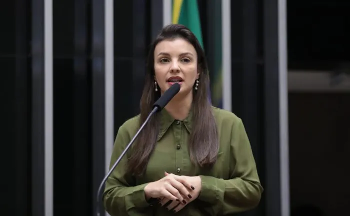 Comissão discute criação do Dia Nacional do Alho Brasileiro