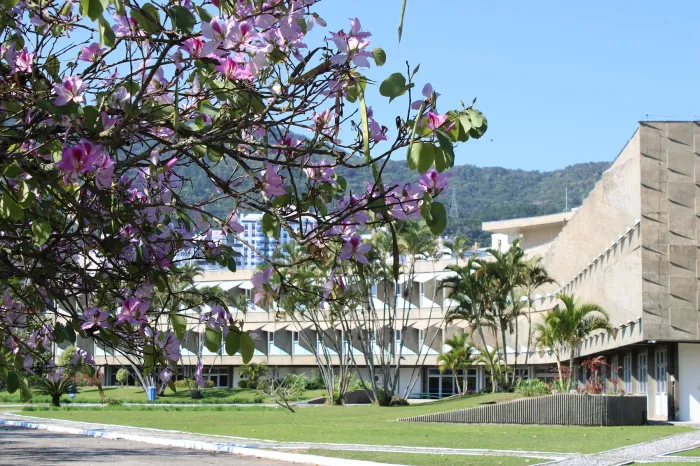 Udesc completa nesta terça 60 anos de trajetória dedicada ao ensino superior
