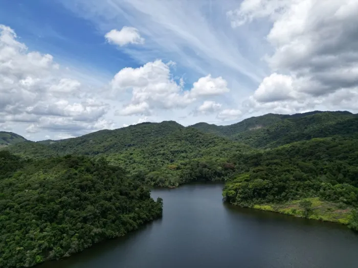 Espírito Santo reduz em 60% taxa de desmatamento em 2024