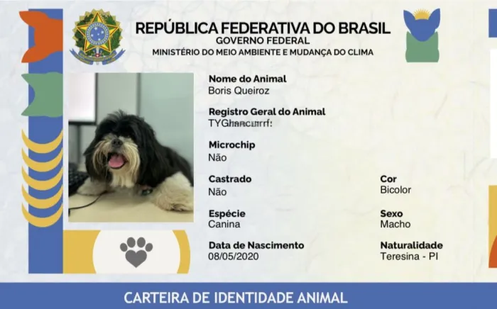 Foto: Reprodução/Secom Piauí