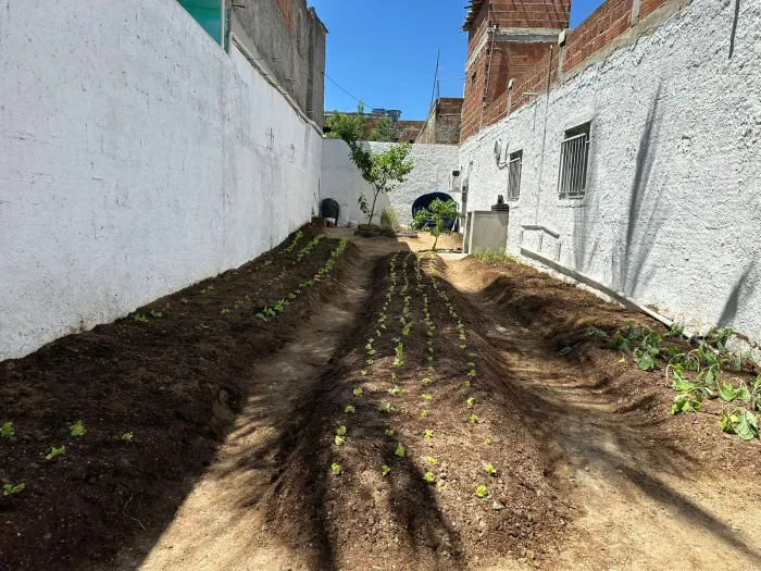 Foto: Reprodução/Prefeitura de Caruaru - PE