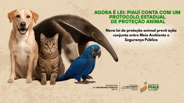 Foto: Reprodução/Secom Piauí