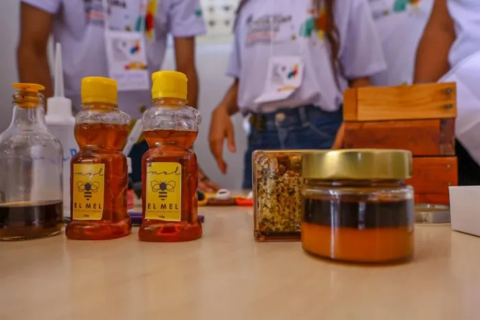 Com apoio da SAF, seminário reúne apicultores e meliponicultores para discutir produção de mel no Piauí