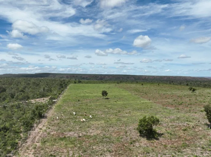 Operação da Semarh aplica multas milionárias contra desmatamento ilegal no sul do Piauí
