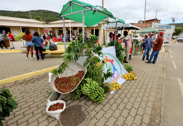 Foto: Amanda Ercília/GOVBA