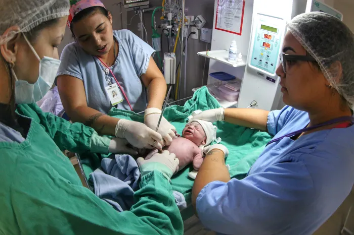 Foto: Jamile Amine/Sesab