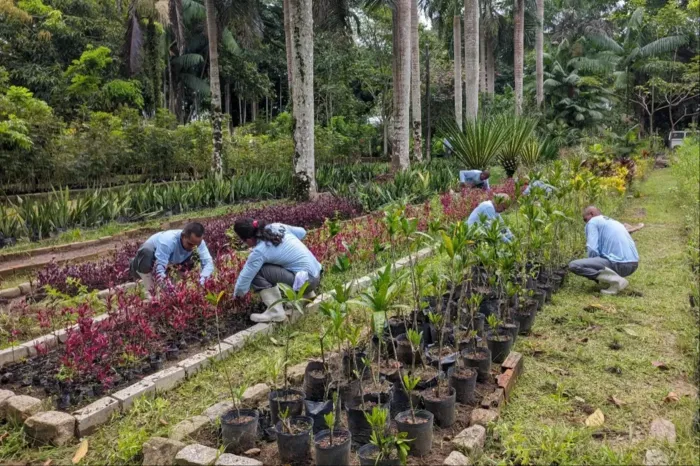 Foto: Amanda Farias / NCS Seap