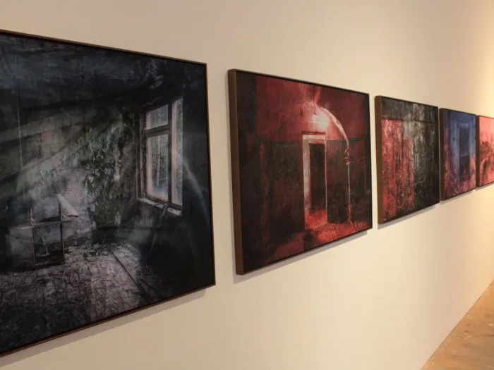 Foto: Thales Henrique/IPAC