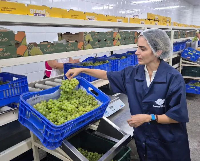 Foto: Marcos Braga - Ascom/SDE