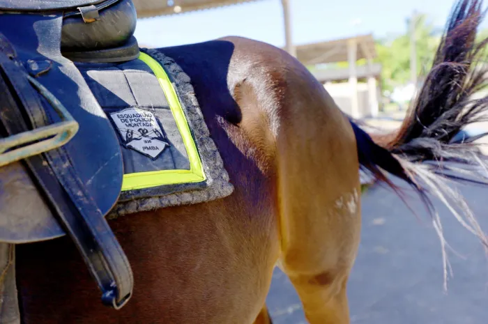 Foto: Amanda Ercília/GOVBA